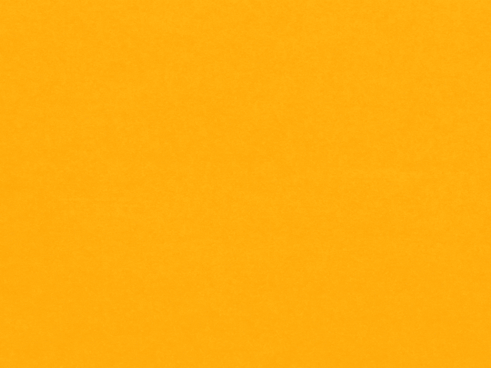 Zohran Mamdani, the Everywhere Mayor