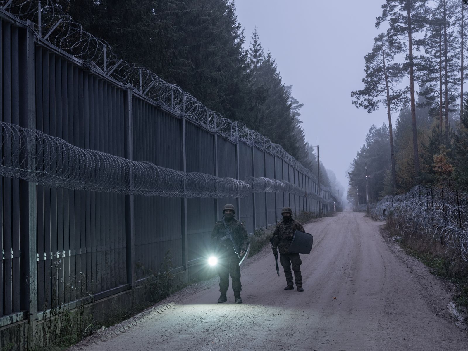 The Migrants in the Ancient Forest