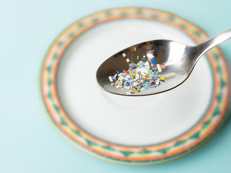 More Places Microplastics Can Be Found